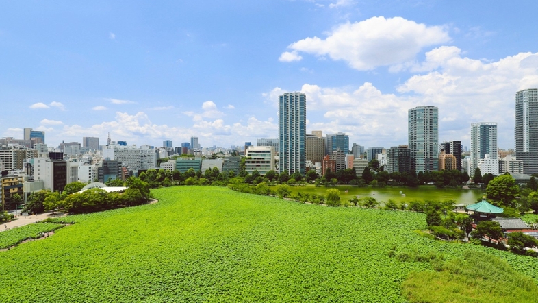 楽天トラベル 京成上野駅 周辺のホテル 旅館 楽天トラベル 京成上野駅 周辺のホテル 旅館